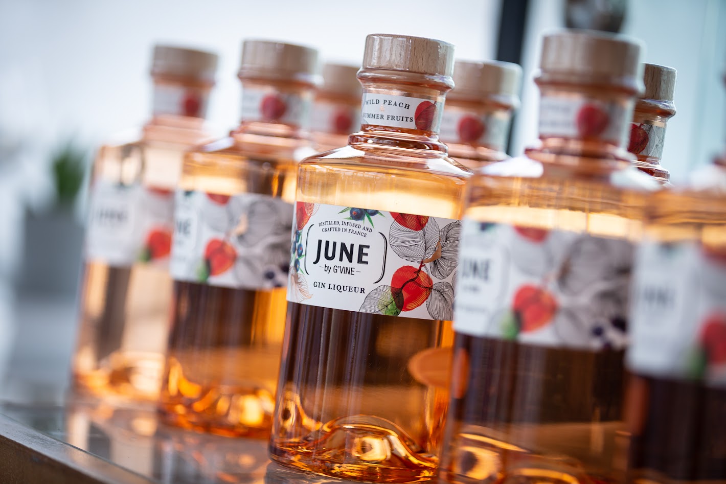 KOFT prináša letnú novinku JUNE Gin