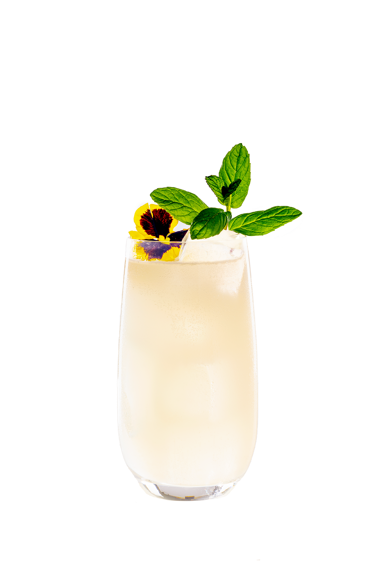 Elderflower Cooler